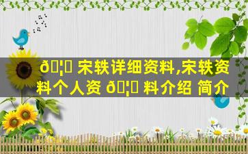 🦅 宋轶详细资料,宋轶资料个人资 🦄 料介绍 简介